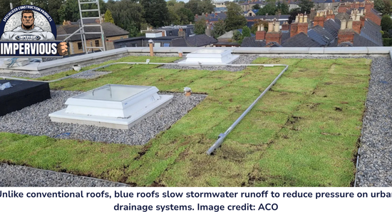 News - How Blue and Green Roofs Can Improve Water Management in the UK