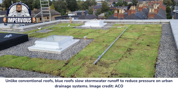 News - How Blue and Green Roofs Can Improve Water Management in the UK